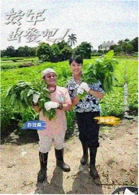 面具之下排行榜封面